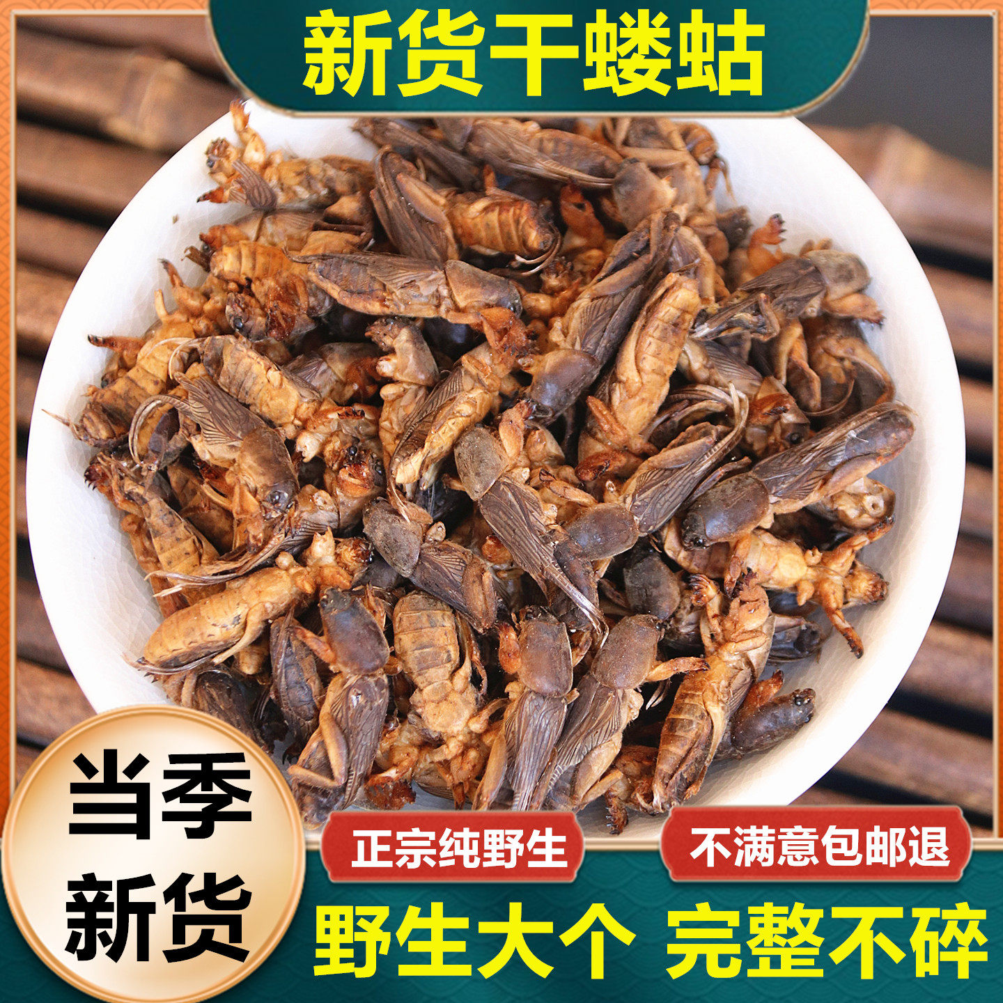 蝼蛄干中药材新货东北蝲蝲蛄干 精选野生拉拉地狗 土狗子虫可打粉