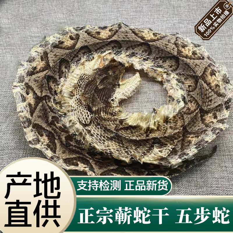 蕲蛇中药材正品五步蛇大白花蛇整条泡酒八步蛇整条大蕲蛇干乌梢蛇