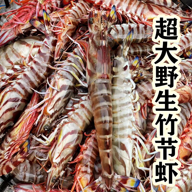 野生竹节虾 特大斑节虾 基围虾冻虾