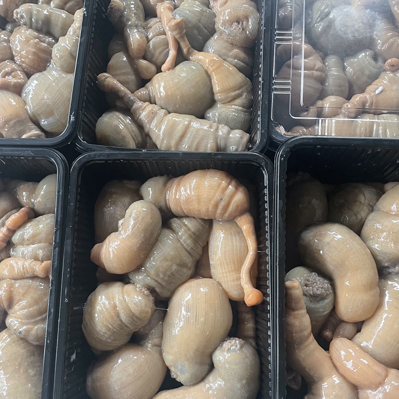 台州海鲜 新鲜大沙蒜 冷冻 海葵 海花一份2斤 顺丰包邮