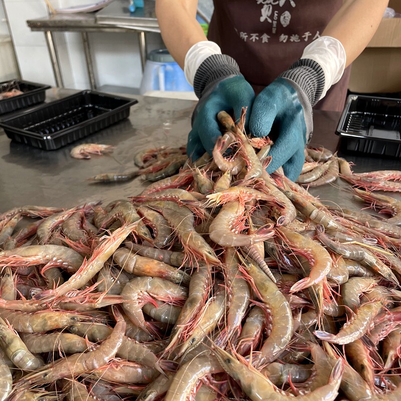 台州小网滑皮虾大号 海虾硬壳虾冷冻 鹰抓虾剑虾 3斤包邮