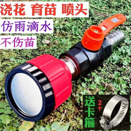农用洒水浇地浇菜园林浇水浇花雾化育苗花洒水枪4分6分1寸喷头