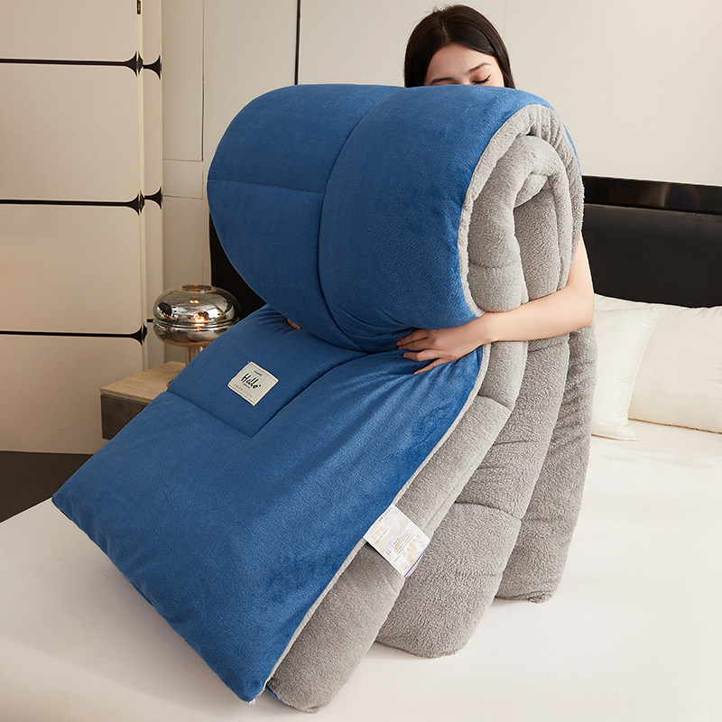 LAMBS WOOL QUILT WINTER QUILT QUILT THICKENED DOUBLE-SIDED PLUSH WARM DORMITORY SINGLE AND DOUBLE STUDENTS AUTUMN AND WINTER QUILT CORE 10 POUNDS