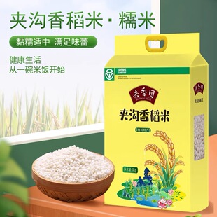 宿州特产夹沟香稻米糯米10斤袋装真空5kg酒酿包粽子米酒好米