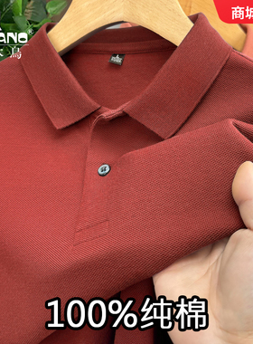 啄木鸟夏季男士Polo衫新款纯棉翻领短袖t恤高端休闲宽松大码上衣