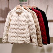 她炽2589绒咩咩女士立领夹克冬季 羊毛服加厚保暖休闲百搭棉衣外套