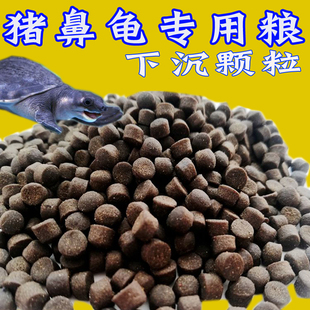 散装沉底猪鼻龟饲料 猪鼻龟专用粮 下沉水龟粮黄头剃刀龟饲料龟粮