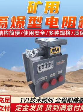 DZB-1140/660L矿用隔爆型漏电保护检测用电阻箱质保长电阻箱