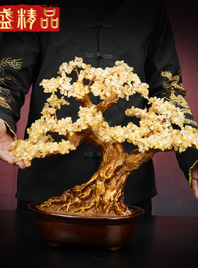 天然招财摇钱树发财树开业摆件