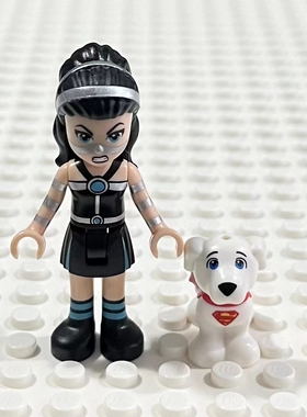 LEGO乐高 41233  shg009 拉希娜 28325 超人狗 小氪 41238 30546