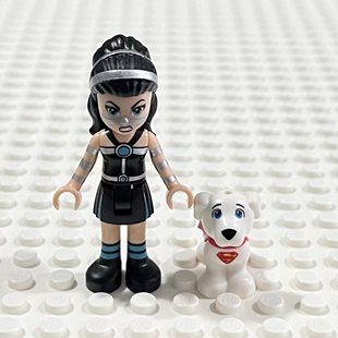 LEGO乐高 41233  shg009 拉希娜 28325 超人狗 小氪 41238 30546