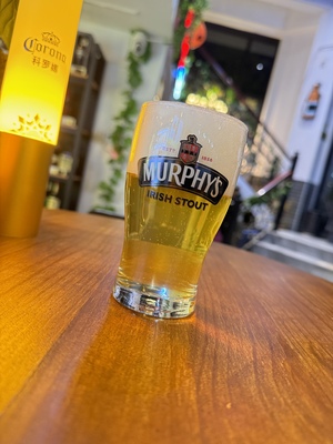 全新Murphy's墨菲莫菲黑啤啤酒杯精酿玻璃水杯250ml家用个性酒吧