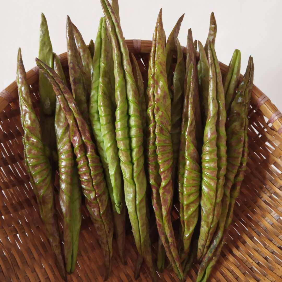 嫩荷叶新鲜荷叶尖炒鸡蛋凉拌菜时令菜白洋淀特产野生荷叶卷400g