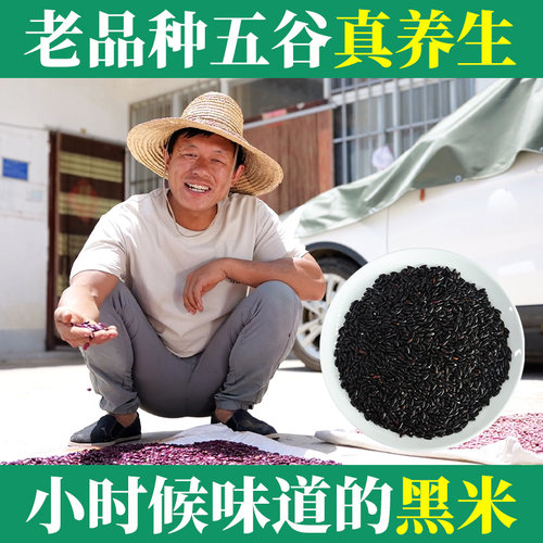 2025年新黑米农家自产黑米