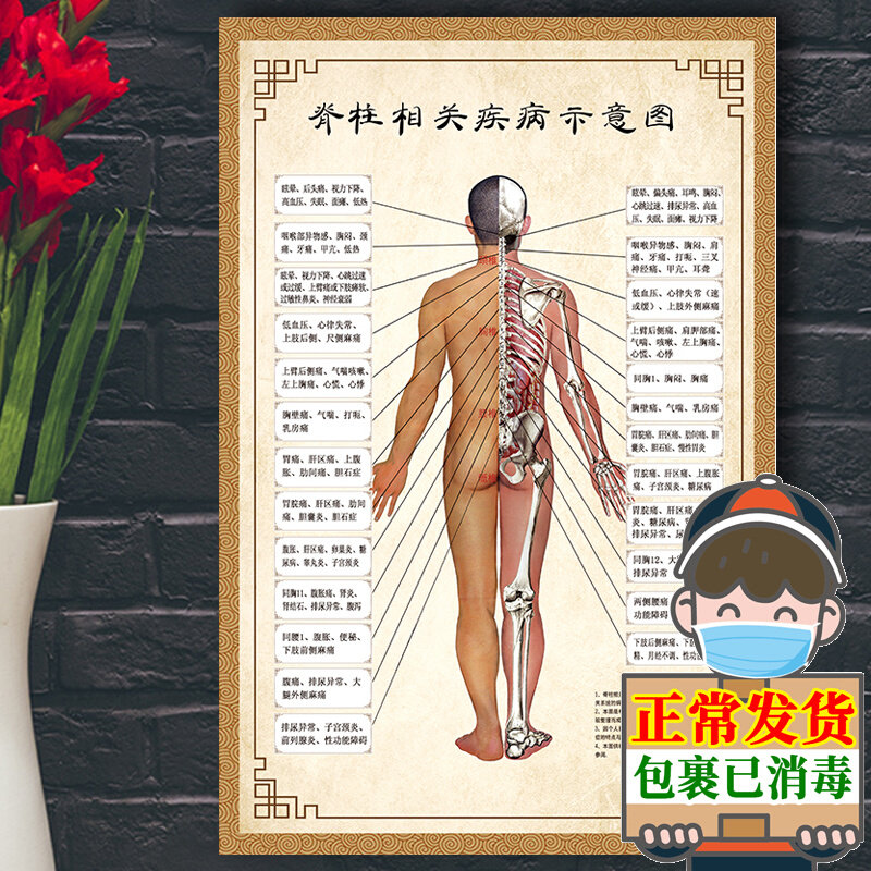 人体脊柱相关疾病示意图脊椎骨颈椎图经络穴位图中医养生海报挂图