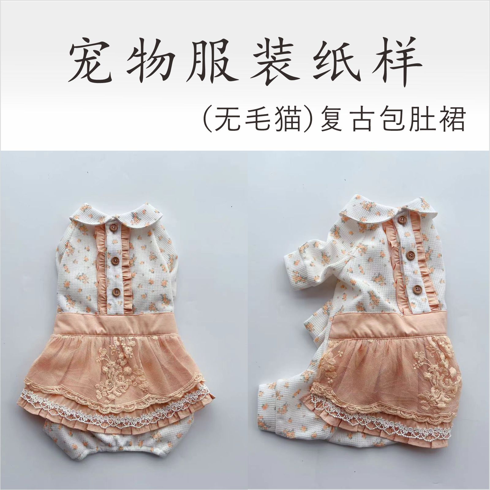 斯芬克斯无毛猫衣服diy可定制