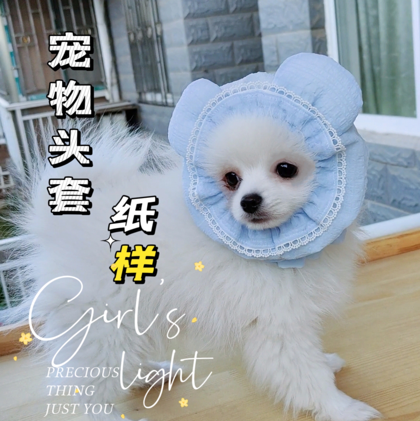 宠物耳套纸样宠物狗饰品可卡查理王美卡耳套图纸史宾格头套防弄脏