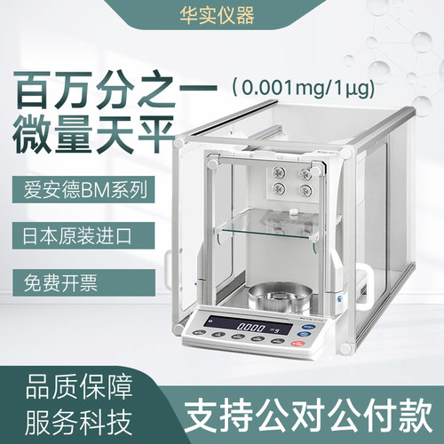 原装进口百万分之一电子天平1ug
