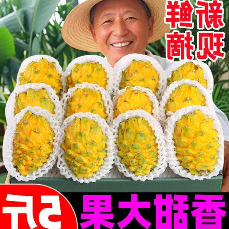 燕窝旗舰新鲜火龙果白心5果大果燕窝果斤黄金三亚云南麒麟黄皮果