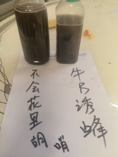 湘西大山自制马蜂诱蜂水500ml 黄脚蜂王引诱剂 蜜蜂分蜂首选