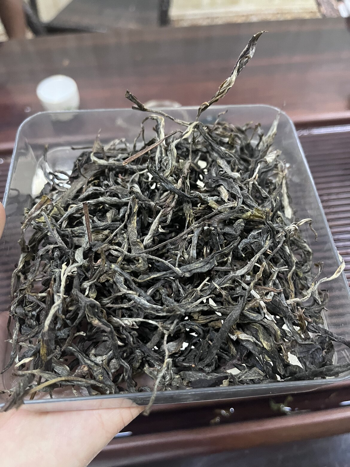 2024春邦东大雪山森林茶200克品鉴装