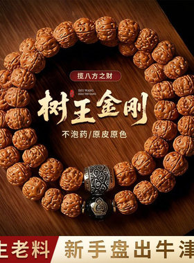 爆肉树小金刚菩提手串男士双圈生肖手持盘玩核桃原籽佛珠文玩
