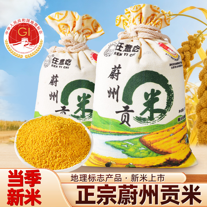 河北蔚县小米黄小米蔚州贡米农家新米香糯粘稠米脂油小黄米熬稀饭