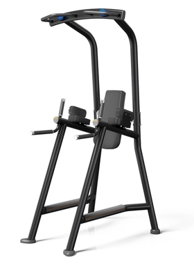 美国乔山MATRIX双杠提膝收腹训练器MG-A63商用单双杠引体向上架