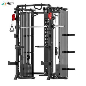 韦步FW-PT09史密斯综合训练器