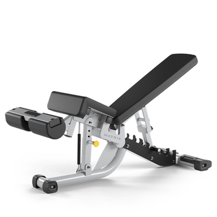 美国乔山MATRIX可调式哑铃训练椅(带下斜)MG-A86健身房训练椅