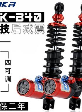 PAKA B40后减震小牛九号极核电动车飞度5弯道情人姜戈UY裂行改装