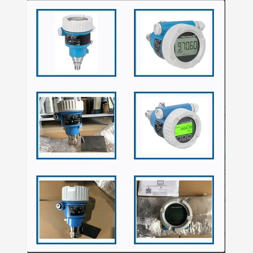 【维修】E+H压力变送器PM