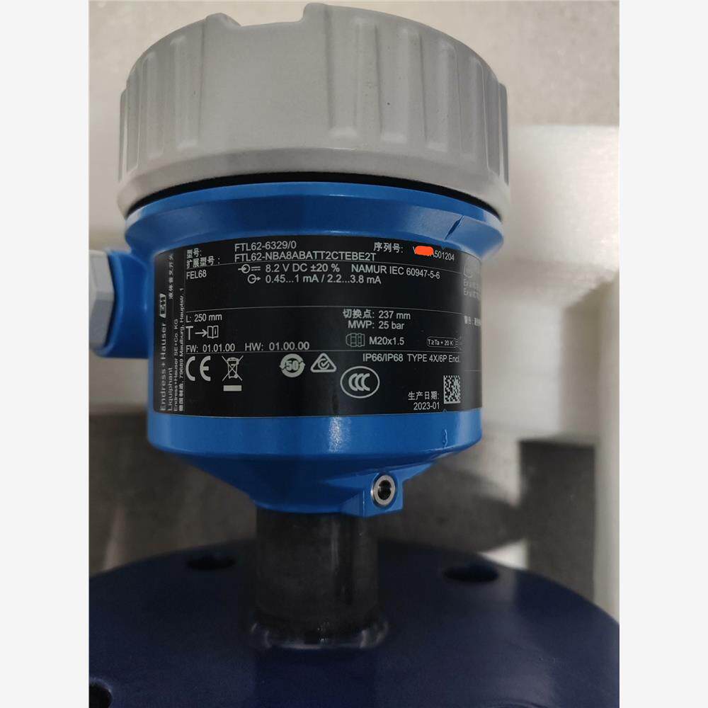 【维修】E+H音叉液位计FT