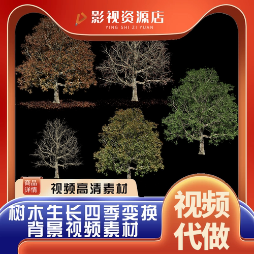 视频素材四季树木生长变化mov动画alpha透明通道ae后期剪辑合成