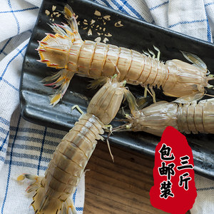 活的皮皮虾怎么保存?活的皮皮虾怎么保鲜?