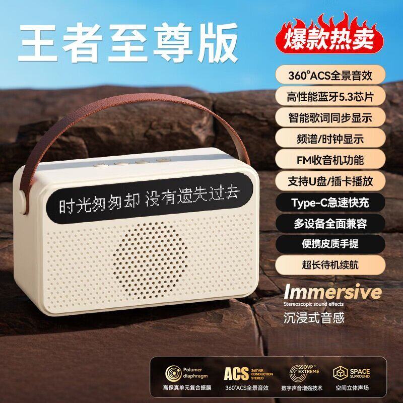 政府补贴德国进口十大名牌柏林之声歌词音箱智能AI显示高清蓝牙音