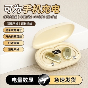 政府补贴曼哈顿德国进口柏林之声音质F210旋转式 降噪蓝牙耳机超长