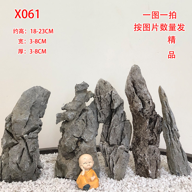 英德石附树石造景水旱水陆缸盆景天然抱树石绿植花盆庭院客厅摆件