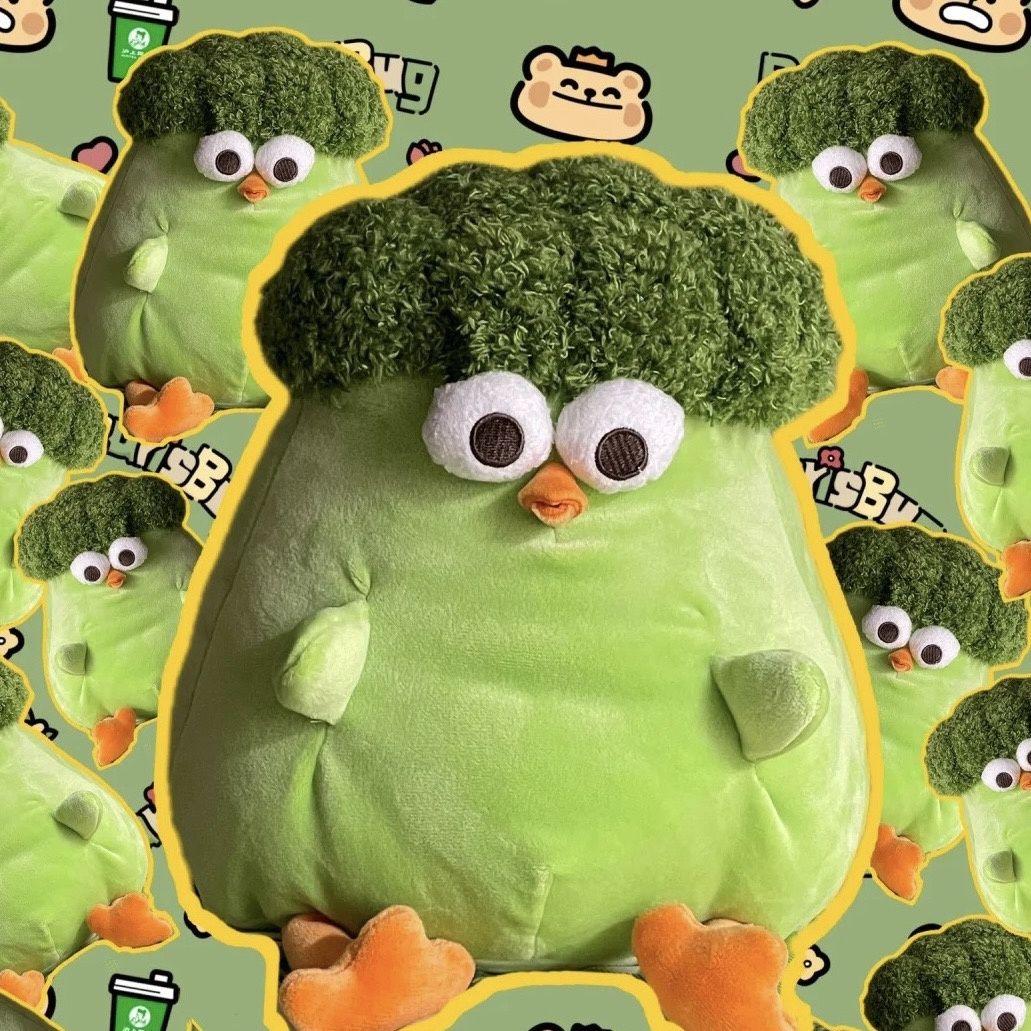 可爱搞怪菜花公仔抱枕西兰花dun鸡毛绒玩具偶送男女闺蜜生日礼物