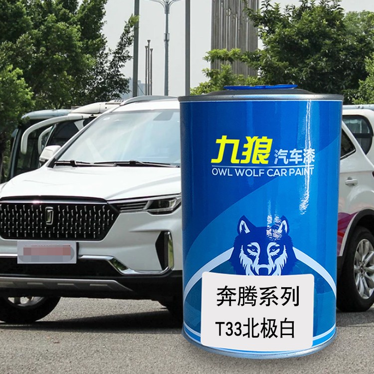 九狼汽车喷烤漆钣金翻新改色漆一汽奔油漆腾北极白典雅灰香槟金