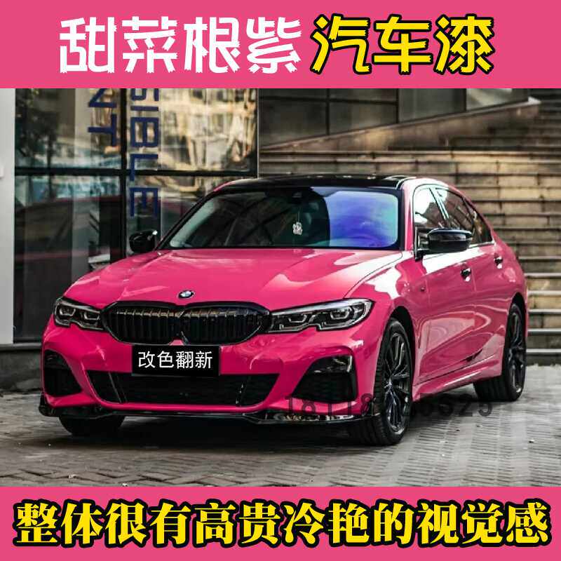 鹦鹉甜菜根紫冷艳色网红流行色汽车个性改色翻新电脑调漆高亮喷漆