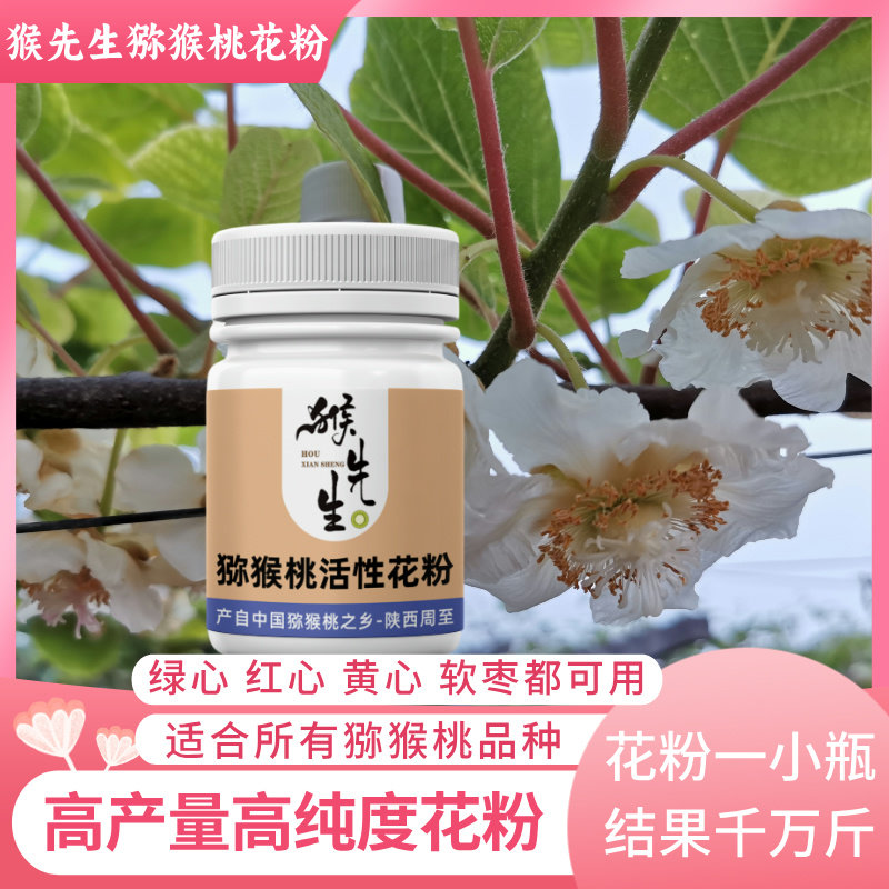 猴先生红心猕猴桃雄花粉高活性纯花粉人工授粉药公雄树猕猴桃花粉