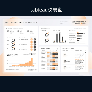 tableau仪表盘代制作数据看板销售运营可视化分析tableau代做