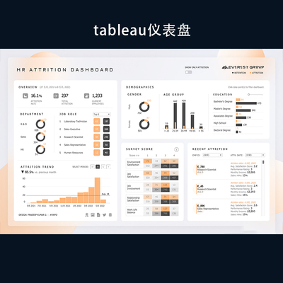 tableau仪表盘数据分析看板代做