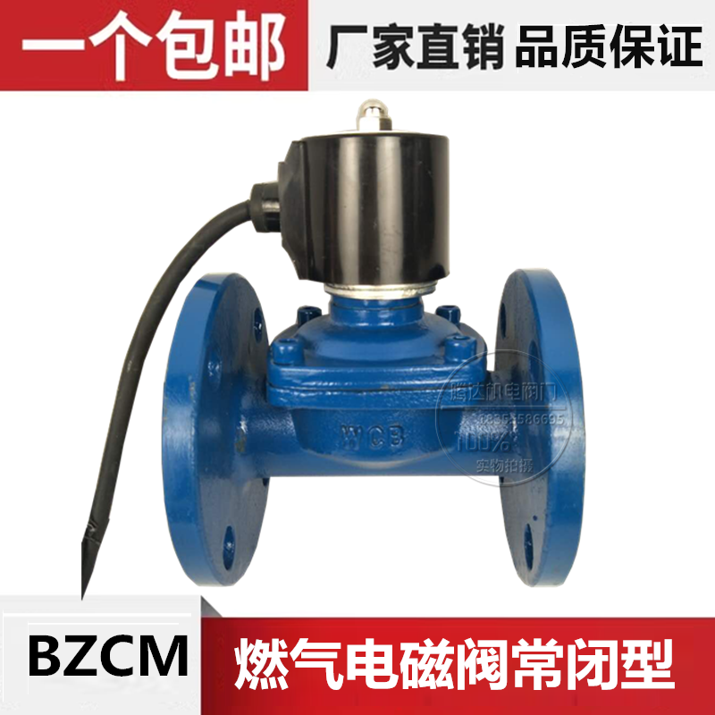 BZCM-10C铸钢法兰防爆电磁阀燃气常闭型AC220V1寸DN253240506580