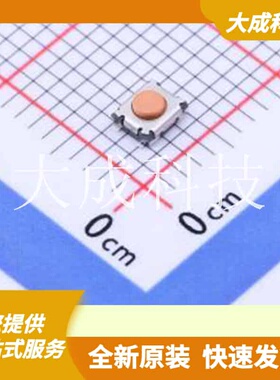 RKCGG140SMTRLFS 原装正品