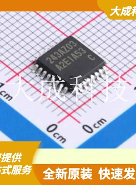 R7FA2E1A53CFJ#AA0 原装正品 CPU内核