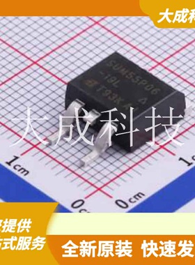 SUM55P06-19L-E3 原装正品 数量