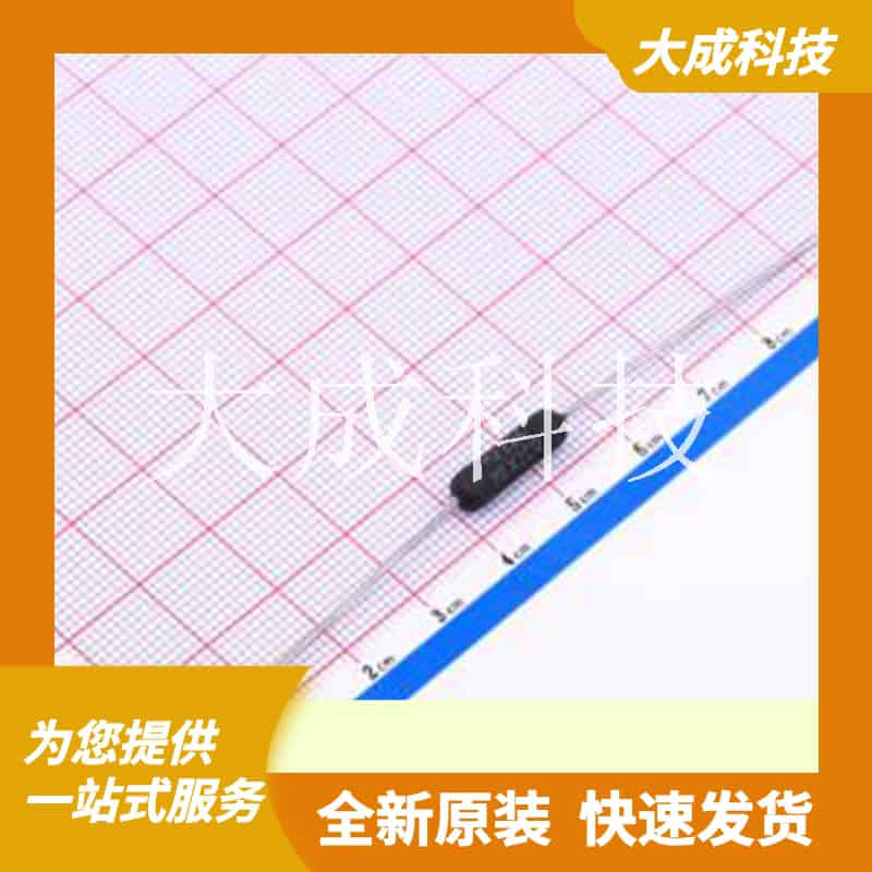 RS02B1R000FB12 原装正品