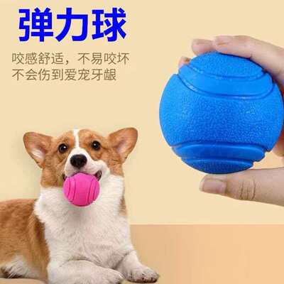 狗狗宠物玩具磨牙玩具弹力球耐咬宠物解闷金毛橡胶训练小狗实心球